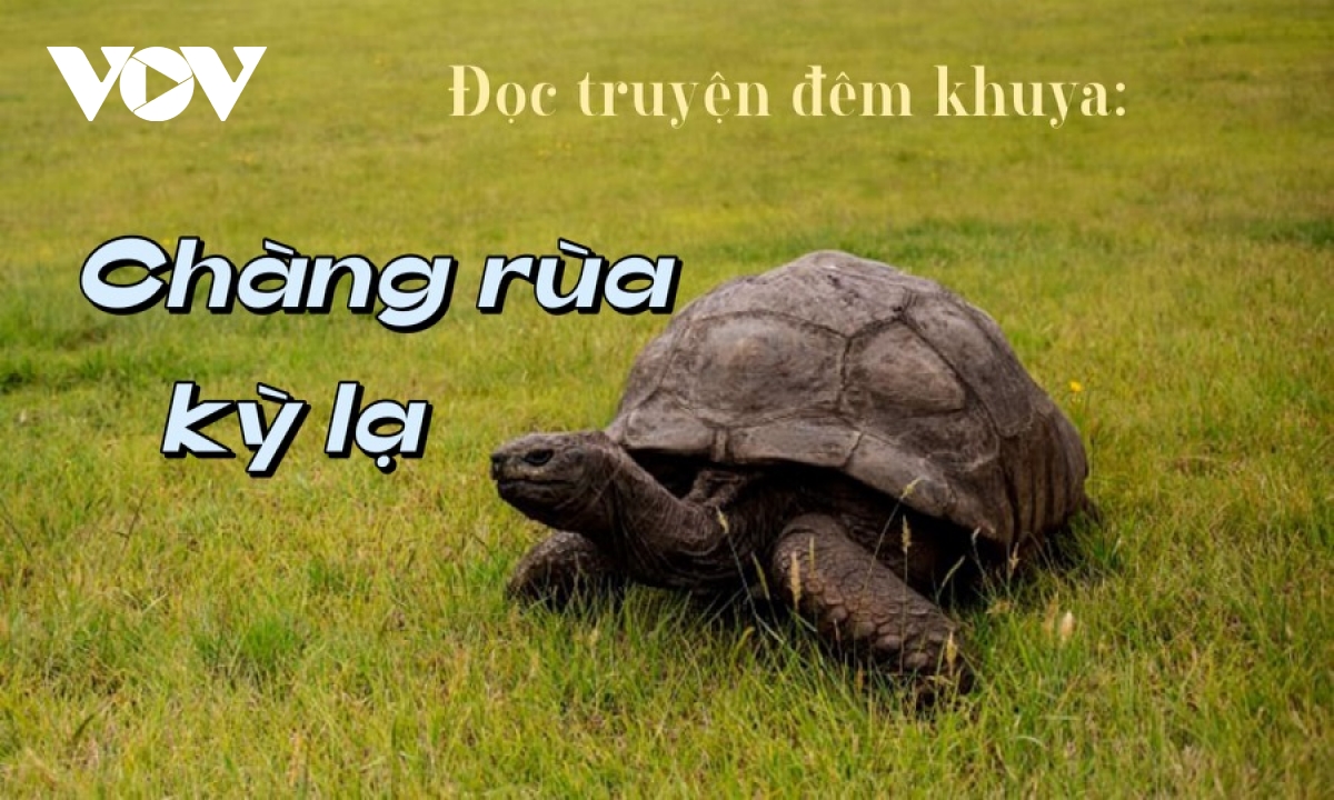 Truyện "Chàng rùa kỳ lạ"